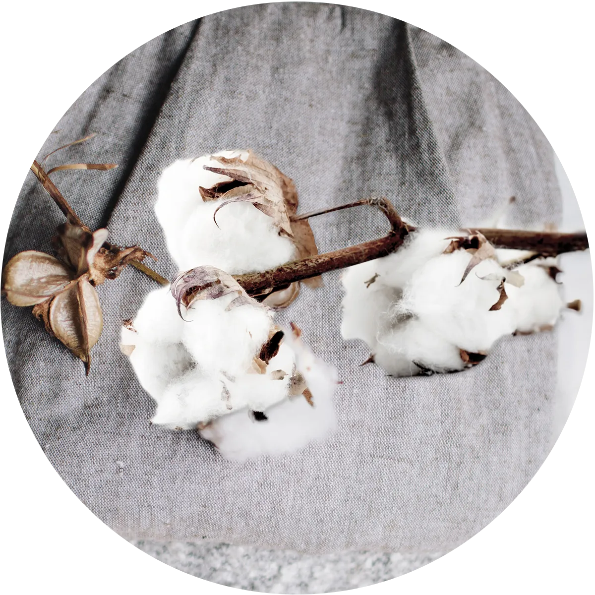 ผ้าจากเส้นใยธรรมชาติ (ผ้า Cotton) ไม่เหมาะกับการเล่นกีฬา